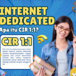 internet dedicated cir 1:1